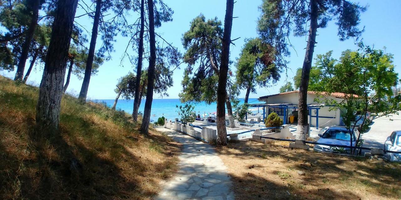 Sea Star Apartments Kallikratia Nea Kallikrateia Eksteriør bilde